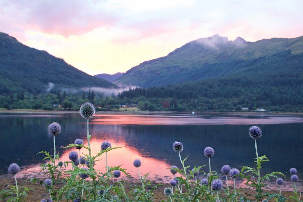 home-slider-IMG_5258