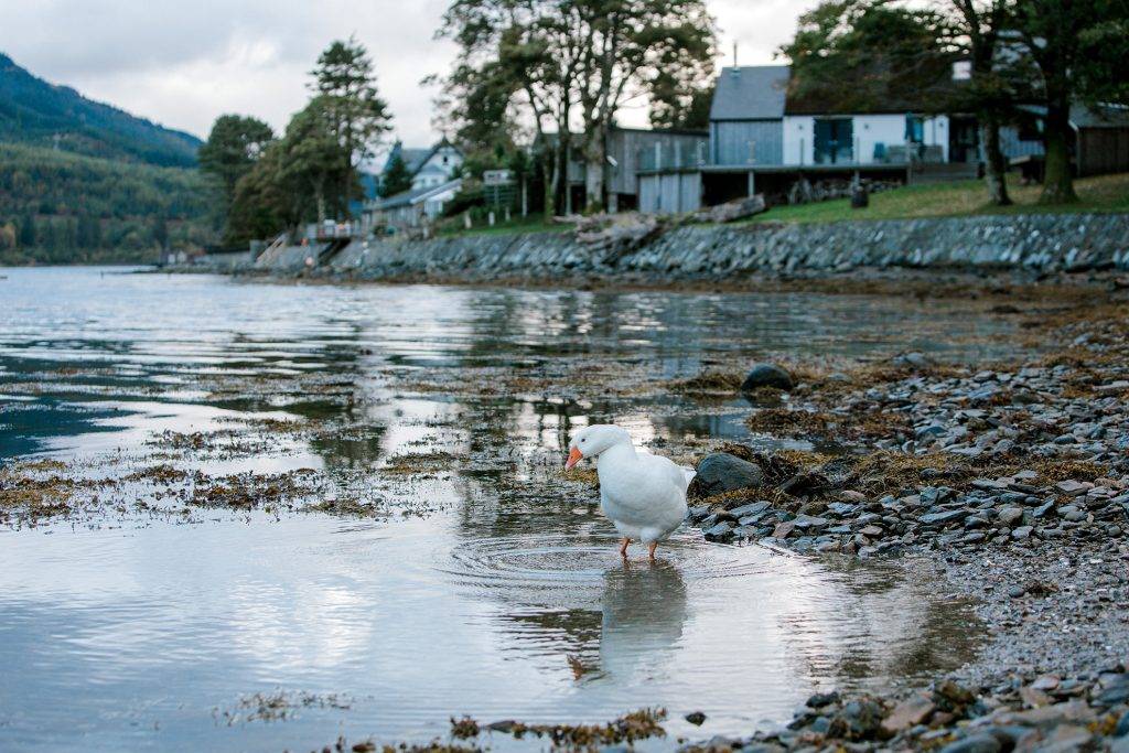 home-slider-Vivian_KennyFinalPart2-260